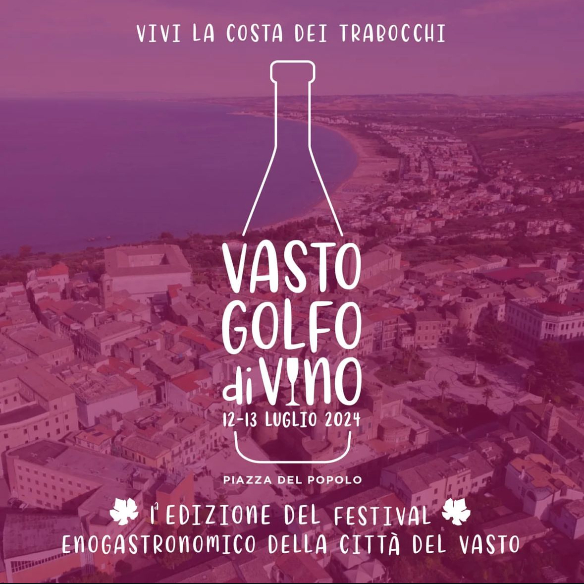 Vasto glfo di vino